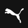 Puma Exploration Inc. logo